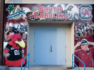 South Carolina Wall Graphic