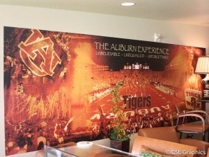 Auburn Wall Graphic