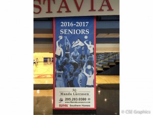 VHHS Column Graphics
